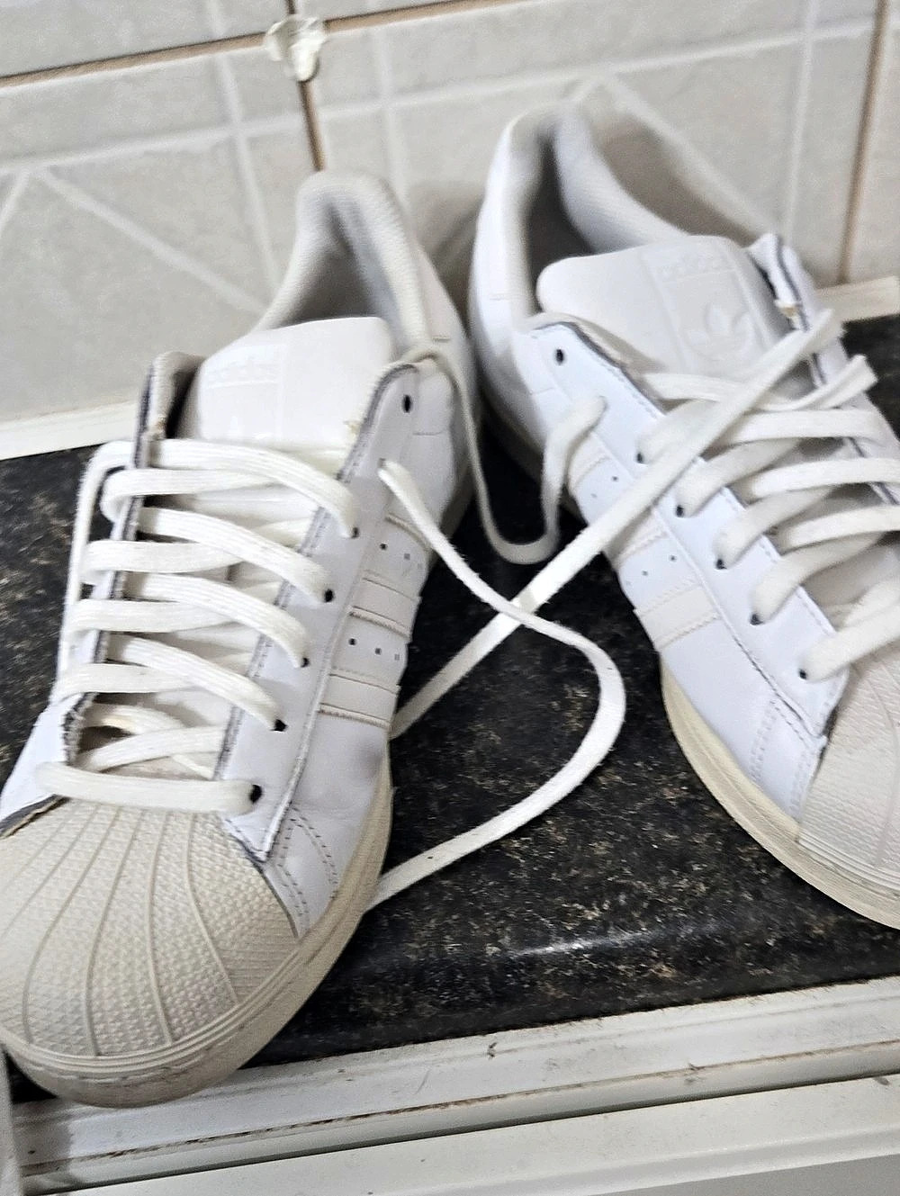 Adidas Superstar Shell Toe Sneakers